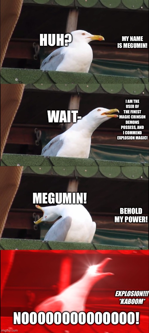 Megumin Explosion | HUH? MY NAME IS MEGUMIN! I AM THE USER OF THE FINEST MAGIC CRINSON DEMONS POSSESS, AND I COMMEND EXPLOSION MAGIC! WAIT-; MEGUMIN! BEHOLD MY POWER! EXPLOSION!!! *KABOOM*; NOOOOOOOOOOOOOO! | image tagged in memes,inhaling seagull | made w/ Imgflip meme maker