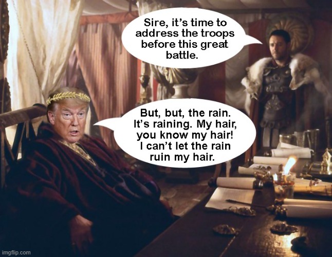 Hail Caesar's Great Hair! | image tagged in trump is a moron,trump hair,caesar,justgirlythings,donald trump is an idiot,death battle | made w/ Imgflip meme maker