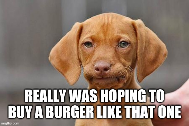 Dissapointed puppy | REALLY WAS HOPING TO BUY A BURGER LIKE THAT ONE | image tagged in dissapointed puppy | made w/ Imgflip meme maker
