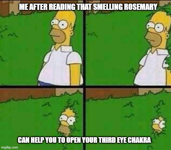 rosemary | ME AFTER READING THAT SMELLING ROSEMARY; CAN HELP YOU TO OPEN YOUR THIRD EYE CHAKRA | image tagged in homer simpson in bush - large | made w/ Imgflip meme maker