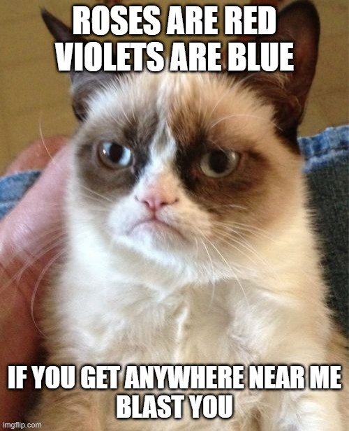 this cat is mad | ROSES ARE RED
VIOLETS ARE BLUE; IF YOU GET ANYWHERE NEAR ME
BLAST YOU | image tagged in memes,grumpy cat,cats,animals,funny,poetry | made w/ Imgflip meme maker