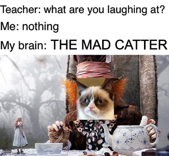 elementary joke... | THE MAD CATTER | image tagged in mad hatter,teacher what are you laughing at,grumpy cat,memes,funny,bad pun | made w/ Imgflip meme maker
