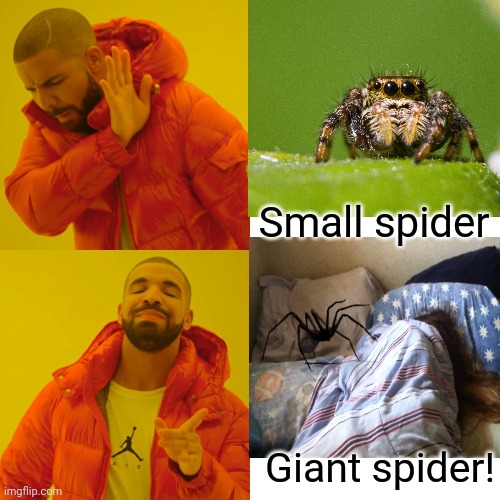 Spider in my bed! | Small spider Giant spider! | image tagged in memes,drake hotline bling | made w/ Imgflip meme maker