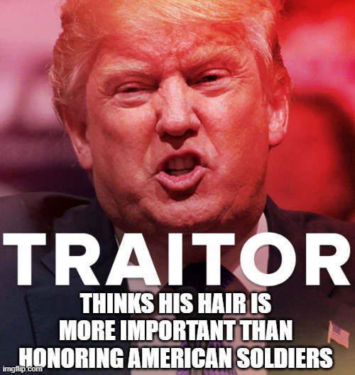 The Majority of Americans HATE Trump. We will VOTE TRUMP OUT on November 3 and we will THROW TRUMP OUT on January 20, 2021! | THINKS HIS HAIR IS MORE IMPORTANT THAN HONORING AMERICAN SOLDIERS | image tagged in traitor,liar,russian,conman,psychopath,impeached | made w/ Imgflip meme maker