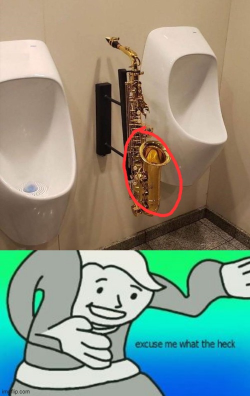 WHAT IS THAT INSTRUMENT EVEN THERE FOR??? | image tagged in excuse me what the heck,memes,funny,stupid,music,toilets | made w/ Imgflip meme maker