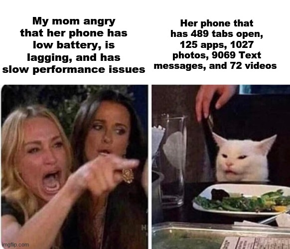 Mom logic | Her phone that has 489 tabs open, 125 apps, 1027 photos, 9069 Text messages, and 72 videos; My mom angry that her phone has low battery, is lagging, and has slow performance issues | image tagged in lady screams at cat,mom frustrated at laptop,mom,parents,logic | made w/ Imgflip meme maker