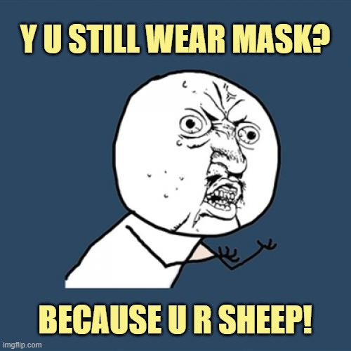 Y U No Meme | Y U STILL WEAR MASK? BECAUSE U R SHEEP! | image tagged in memes,y u no | made w/ Imgflip meme maker