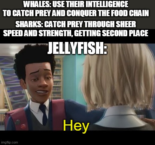 "Hey" | WHALES: USE THEIR INTELLIGENCE TO CATCH PREY AND CONQUER THE FOOD CHAIN; SHARKS: CATCH PREY THROUGH SHEER SPEED AND STRENGTH, GETTING SECOND PLACE; JELLYFISH:; Hey | image tagged in hey,memes,ocean,science,whales,sharks | made w/ Imgflip meme maker