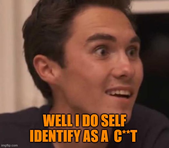 David hogg | WELL I DO SELF IDENTIFY AS A  C**T | image tagged in david hogg | made w/ Imgflip meme maker
