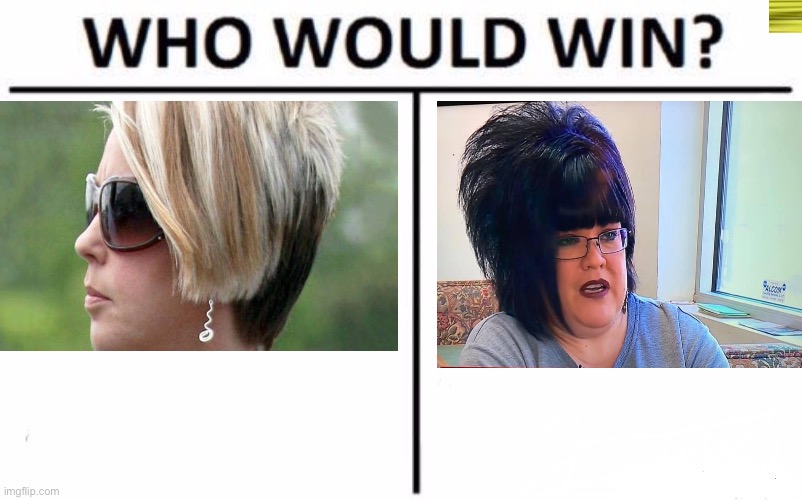 Who Would Win? | image tagged in memes,karen | made w/ Imgflip meme maker