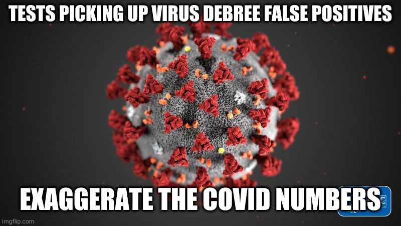 covid numbers exaggerated | TESTS PICKING UP VIRUS DEBREE FALSE POSITIVES; EXAGGERATE THE COVID NUMBERS | image tagged in covid 19,hoax | made w/ Imgflip meme maker