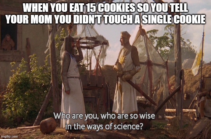 cookies | WHEN YOU EAT 15 COOKIES SO YOU TELL YOUR MOM YOU DIDN'T TOUCH A SINGLE COOKIE | image tagged in who are you so wise in the ways of science,cookie | made w/ Imgflip meme maker