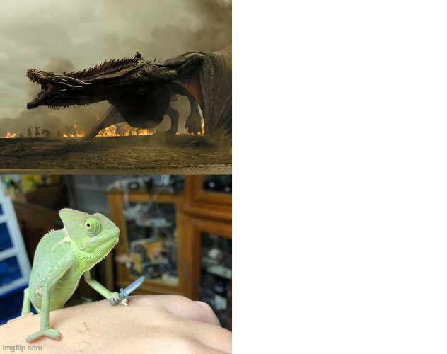 High Quality Chameleon vs. Dragon Blank Meme Template