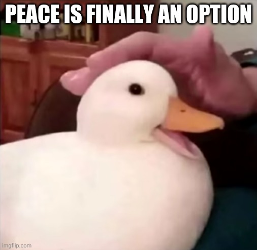 peace is finally an option | image tagged in peace is finally an option | made w/ Imgflip meme maker