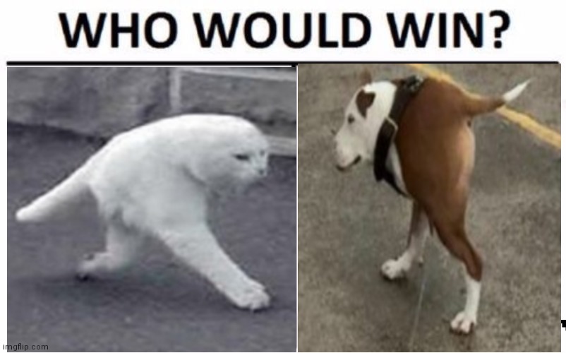 ?? | image tagged in who would win | made w/ Imgflip meme maker