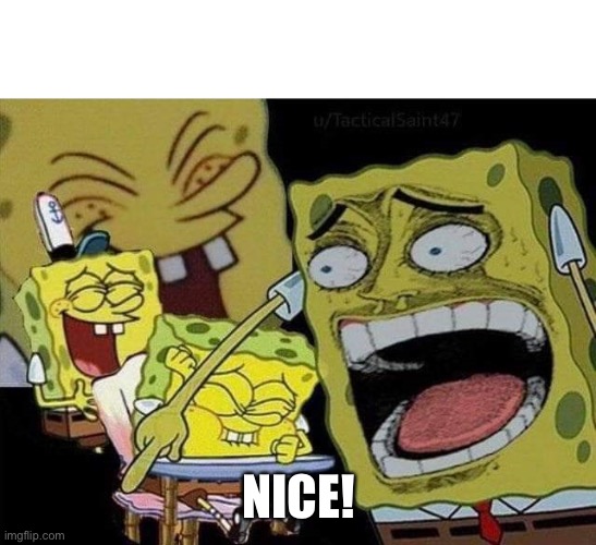 Spongebob laughing | NICE! | image tagged in spongebob laughing | made w/ Imgflip meme maker