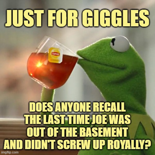 But That's None Of My Business Meme | JUST FOR GIGGLES DOES ANYONE RECALL THE LAST TIME JOE WAS OUT OF THE BASEMENT AND DIDN'T SCREW UP ROYALLY? | image tagged in memes,but that's none of my business,kermit the frog | made w/ Imgflip meme maker