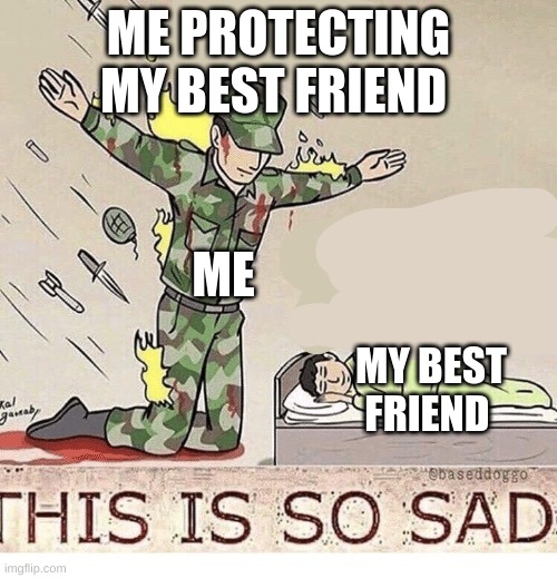 not a meme | ME PROTECTING MY BEST FRIEND; ME; MY BEST FRIEND | image tagged in soldier protecting sleeping child | made w/ Imgflip meme maker