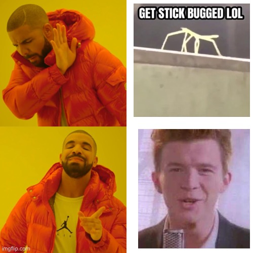 Rick roll | image tagged in memes,drake hotline bling,funny,so true memes,rick roll | made w/ Imgflip meme maker