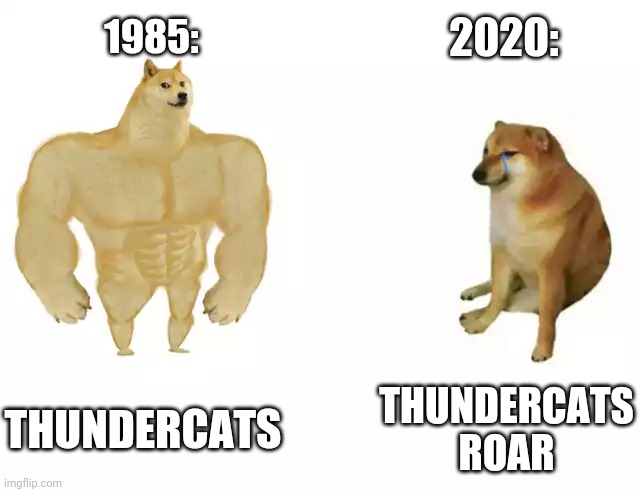 Buff Doge vs. Cheems Meme | 2020:; 1985:; THUNDERCATS; THUNDERCATS ROAR | image tagged in buff doge vs cheems | made w/ Imgflip meme maker