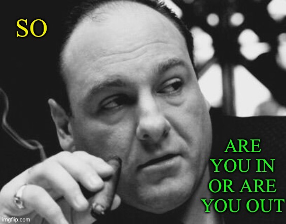 Tony Soprano Admin Gangster | SO ARE YOU IN OR ARE YOU OUT | image tagged in tony soprano admin gangster | made w/ Imgflip meme maker