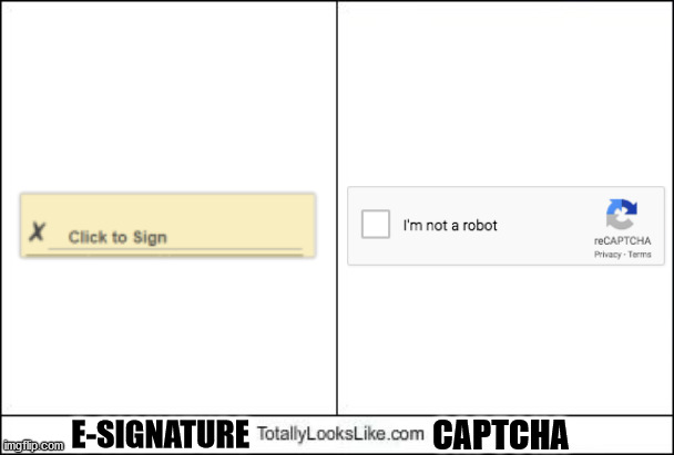 Totally Looks Like | CAPTCHA; E-SIGNATURE | image tagged in totally looks like | made w/ Imgflip meme maker