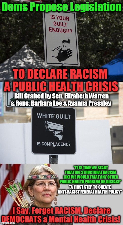 Pocahontas, You Ain't Black & You Ain't Indian Either! | Dems Propose Legislation; TO DECLARE RACISM 
A PUBLIC HEALTH CRISIS; Bill Crafted by Sen. Elizabeth Warren & Reps. Barbara Lee & Ayanna Pressley | image tagged in politics,political meme,democratic socialism,pocahontas,liberalism,insanity | made w/ Imgflip meme maker