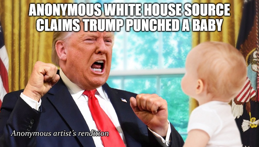 Anonymous people have nothing to hide | ANONYMOUS WHITE HOUSE SOURCE CLAIMS TRUMP PUNCHED A BABY | image tagged in trump,2020,memes,fun,funny,fake news | made w/ Imgflip meme maker