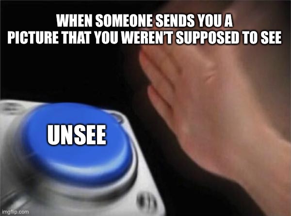 Texting meme | WHEN SOMEONE SENDS YOU A PICTURE THAT YOU WEREN’T SUPPOSED TO SEE; UNSEE | image tagged in memes,blank nut button | made w/ Imgflip meme maker
