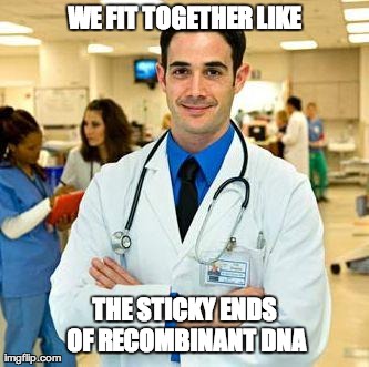 WE FIT TOGETHER LIKE THE STICKY ENDS OF RECOMBINANT DNA | image tagged in suave doctor | made w/ Imgflip meme maker