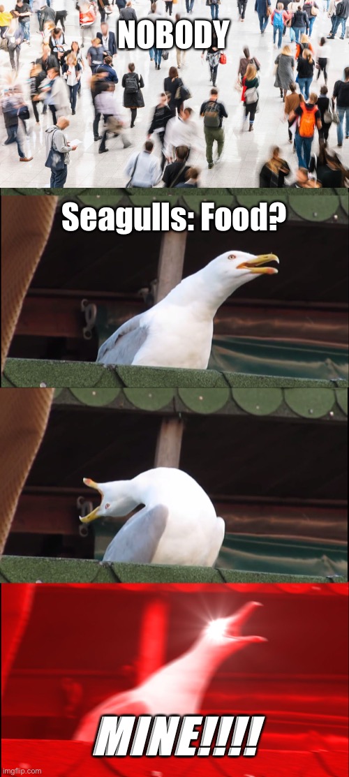 Inhaling seagull | NOBODY; Seagulls: Food? MINE!!!! | image tagged in memes,inhaling seagull | made w/ Imgflip meme maker