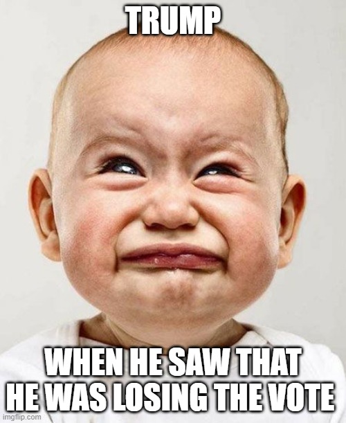 CryingBaby |  TRUMP; WHEN HE SAW THAT HE WAS LOSING THE VOTE | image tagged in cryingbaby | made w/ Imgflip meme maker