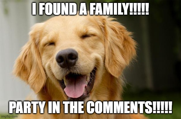 Dad:ChurchMom:Nameless PhyscopathSibling: Sunflower skies | I FOUND A FAMILY!!!!! PARTY IN THE COMMENTS!!!!! | image tagged in happy dog | made w/ Imgflip meme maker