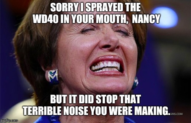 It takes something special to get a "Speaker" to shut up. | . | image tagged in nancy pelosi,nancy pelosi is crazy,wd40,noise | made w/ Imgflip meme maker