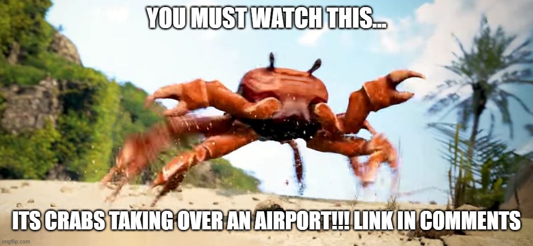 Obama is Gone |  YOU MUST WATCH THIS... ITS CRABS TAKING OVER AN AIRPORT!!! LINK IN COMMENTS | image tagged in crabs,beauty,attack,world domination | made w/ Imgflip meme maker