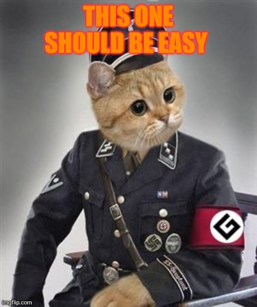 Grammar Nazi Cat | THIS ONE SHOULD BE EASY | image tagged in grammar nazi cat | made w/ Imgflip meme maker
