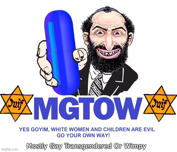 MGTOW | Mostly Gay Transgendered Or Wimpy | image tagged in mgtow | made w/ Imgflip meme maker