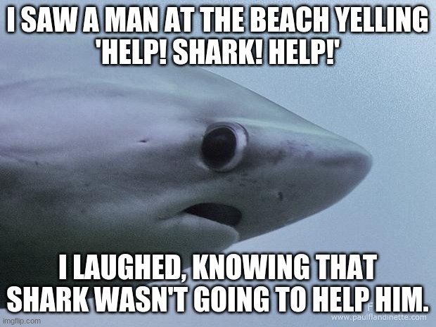 Wow. | I SAW A MAN AT THE BEACH YELLING
'HELP! SHARK! HELP!'; I LAUGHED, KNOWING THAT SHARK WASN'T GOING TO HELP HIM. | image tagged in awkward shark | made w/ Imgflip meme maker