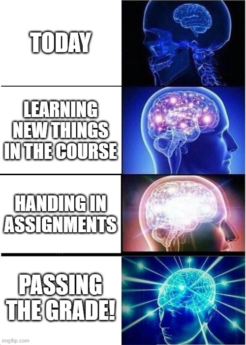 Expanding Brain | TODAY; LEARNING NEW THINGS IN THE COURSE; HANDING IN ASSIGNMENTS; PASSING THE GRADE! | image tagged in memes,expanding brain | made w/ Imgflip meme maker