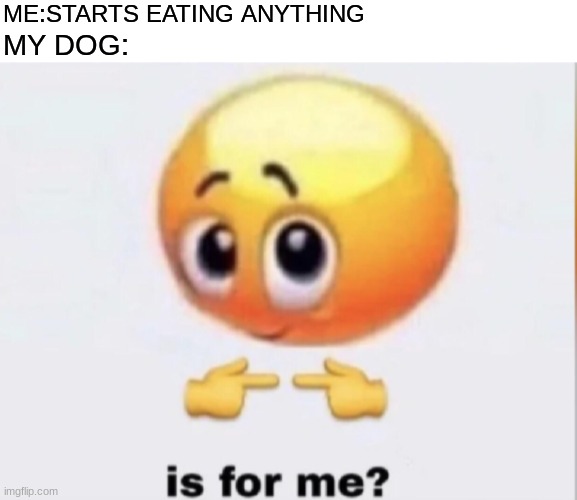 Help me I've had the bear in the big blue house theme song stuck in my head | ME:STARTS EATING ANYTHING; MY DOG: | image tagged in blank white template,is for me,memes,funny,dogs | made w/ Imgflip meme maker