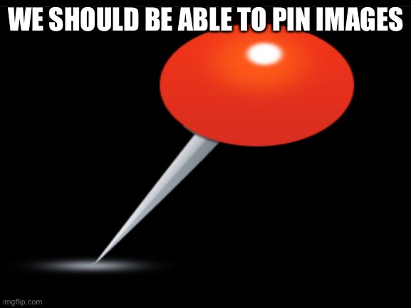 We should be able to pin images to our streams | WE SHOULD BE ABLE TO PIN IMAGES | made w/ Imgflip meme maker