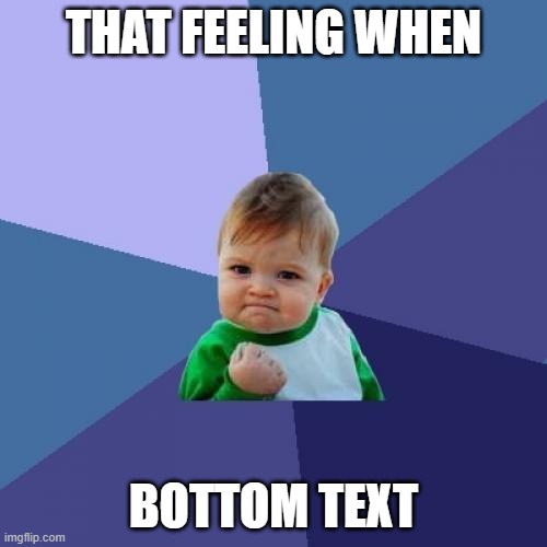 Success Kid Meme | THAT FEELING WHEN; BOTTOM TEXT | image tagged in memes,success kid | made w/ Imgflip meme maker