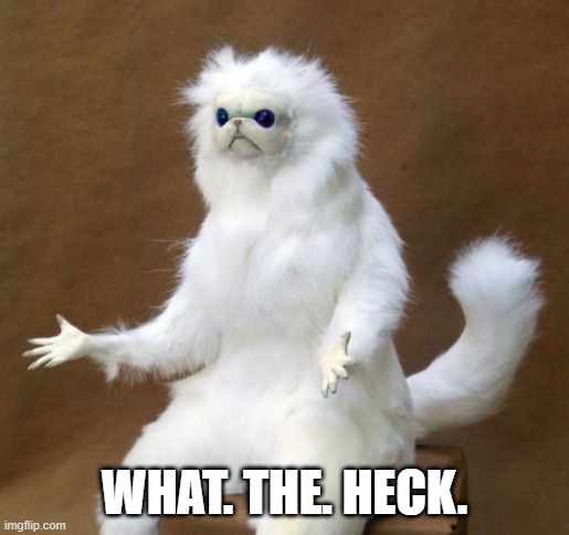What the Heck Cat | WHAT. THE. HECK. | image tagged in what the heck cat | made w/ Imgflip meme maker
