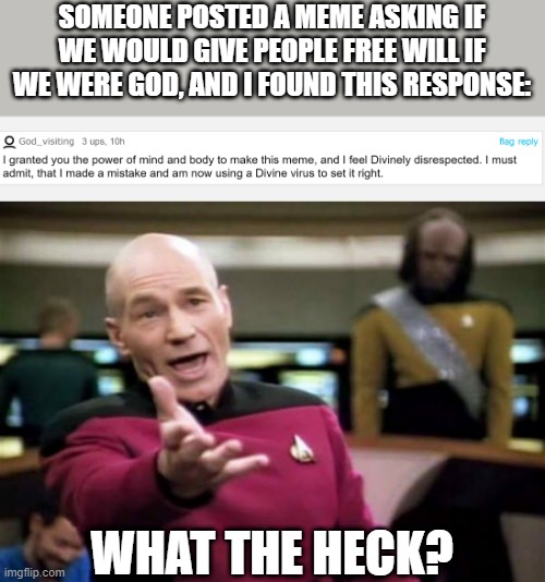 what the heck... | SOMEONE POSTED A MEME ASKING IF WE WOULD GIVE PEOPLE FREE WILL IF WE WERE GOD, AND I FOUND THIS RESPONSE:; WHAT THE HECK? | image tagged in memes,picard wtf,god,funny,free will,comments | made w/ Imgflip meme maker