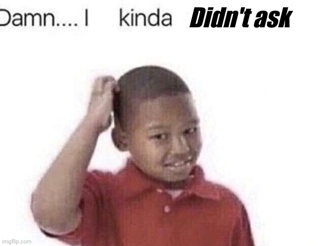 damn i kinda dont care | Didn't ask | image tagged in damn i kinda dont care | made w/ Imgflip meme maker