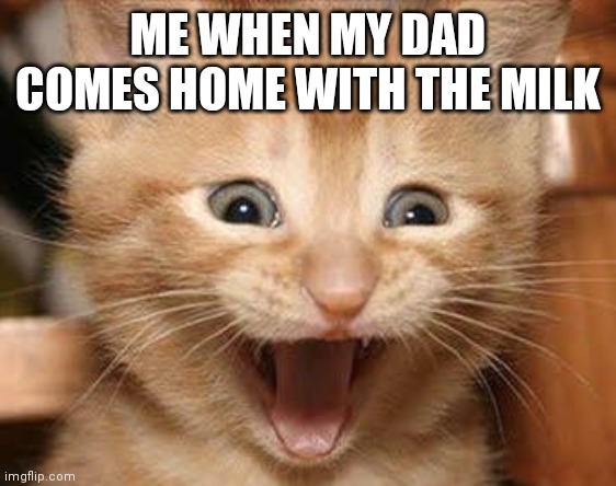 Excited Cat Meme | ME WHEN MY DAD COMES HOME WITH THE MILK | image tagged in memes,excited cat | made w/ Imgflip meme maker