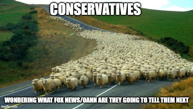 Ouch | CONSERVATIVES; WONDERING WHAT FOX NEWS/OANN ARE THEY GOING TO TELL THEM NEXT | image tagged in sheep | made w/ Imgflip meme maker