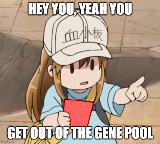 Get out now | HEY YOU, YEAH YOU; GET OUT OF THE GENE POOL | image tagged in platelet holding a red card,get out of the gene pool,dna,anime,funny,memes | made w/ Imgflip meme maker