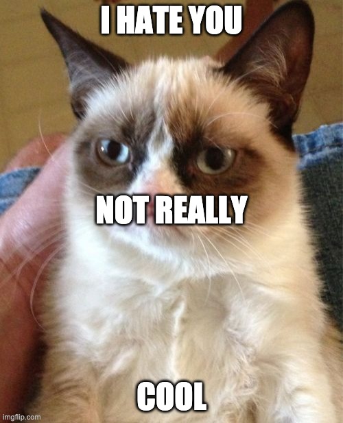 Grumpy Cat | I HATE YOU; NOT REALLY; COOL | image tagged in memes,grumpy cat | made w/ Imgflip meme maker