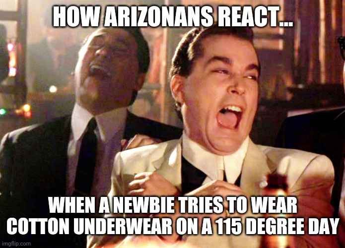 If you move to AZ, you will understand this | HOW ARIZONANS REACT... WHEN A NEWBIE TRIES TO WEAR COTTON UNDERWEAR ON A 115 DEGREE DAY | image tagged in memes,good fellas hilarious,arizona,prove me wrong | made w/ Imgflip meme maker